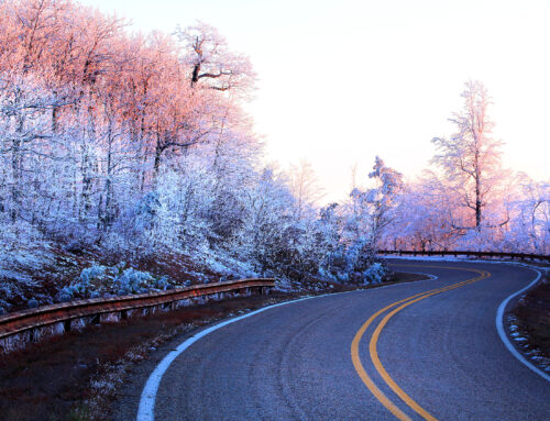 Sunset Turning Ice Pink – Queen Wilhelmina State Park