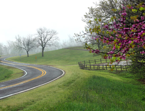 Spring Country Drive at Queen Wilhelmina State Park