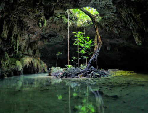 Underground Cave – Mexico