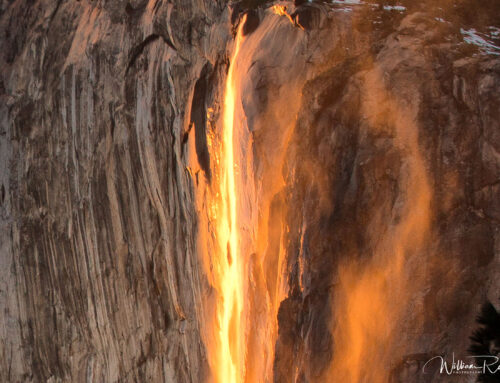 Mountain of Fire – Yosemite National Park